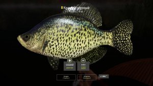 Русская Рыбалка 4 Трофей (Краппи черный) оз. Лосиное