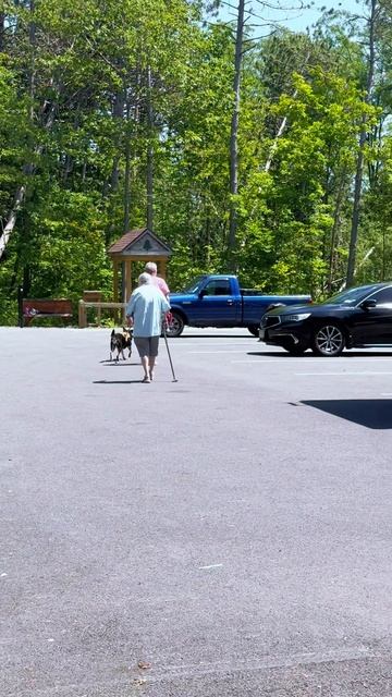 Как живут пенсионеры в США? Не то что у нас! #пенсия #сша #америка смотреть онлайн