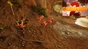 GROUNDED 2 (2 серия).Поиски семечка и маленькое логово муравьёв