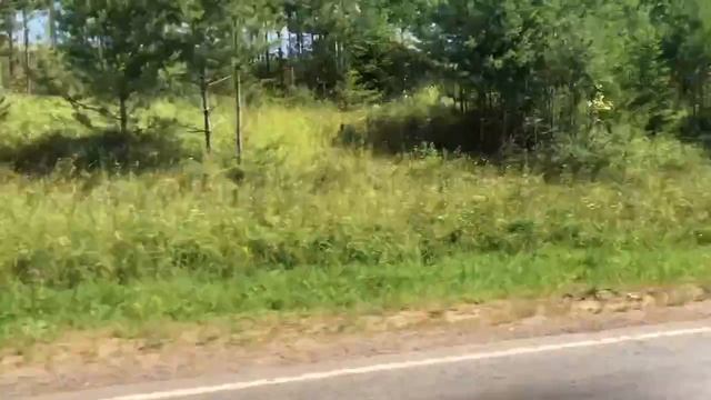 Мопеды сериал | Серия 1230