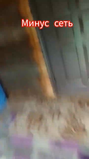 АААПпппааааааа