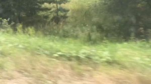 Мопеды сериал | Серия 1193