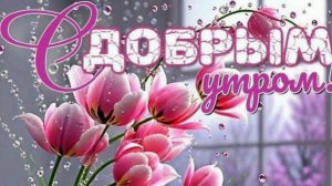 С ДОБРЫМ УТРОМ! БУДЬТЕ СЧАСТЛИВЫ В СЕГОДНЯШНЕМ ДНЕ.