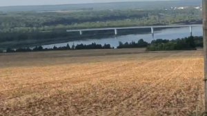 Мопеды сериал | Серия 1174