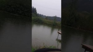 Рыбалка на поплавок.