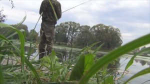 Загадочный карась летом - бывает же такое - его непросто поймать (2015г примерно)