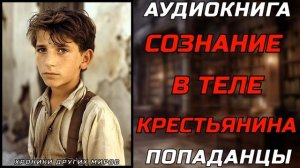 АУДИОКНИГА ПОПАДАНЦЫ: ДРУГОЙ ВНУТРИ