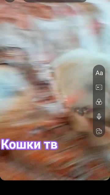 И так они каждую минуту