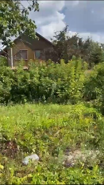 110785 смотреть онлайн