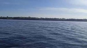 Самара, река Волга 5 августа 2025г