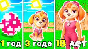 КАК МЕНЯЛАСЬ СКАЙ ЩЕНЯЧИЙ ПАТРУЛЬ В МАЙНКРАФТ