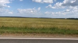 Мопеды сериал | Серия 1265