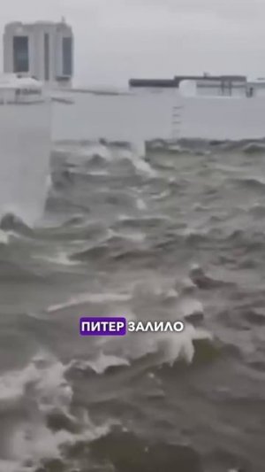 Астролог предсказал КАТАСТРОФУ на КАМЧАТКЕ | Павел Андреев Выпуск от 3.07.2025 #астролог #shorts