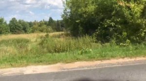 Мопеды сериал | Серия 1308