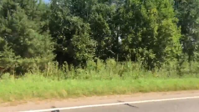 Мопеды сериал | Серия 1267