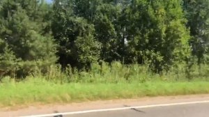 Мопеды сериал | Серия 1267