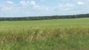 Мопеды сериал | Серия 1292