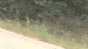 Мопеды сериал | Серия 1211