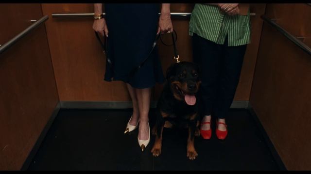 Супруги Роуз — Русский Трейлер (Дубляж, 2025) смотреть онлайн