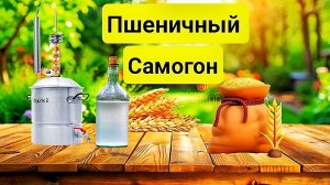 Самогон на Пшенице в Домашних условиях. Сможет каждый! Проще простого!