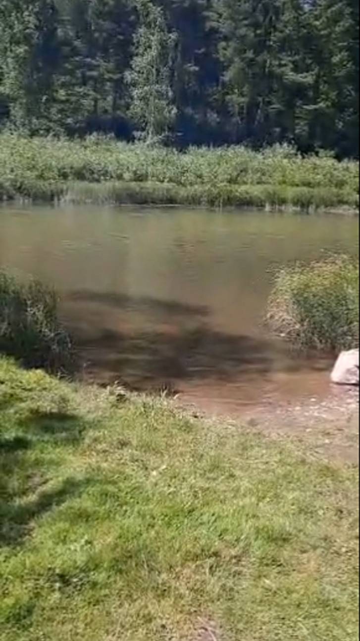 Два пенсионера отдыхают на Золотом Китате. Кузбасс. смотреть онлайн