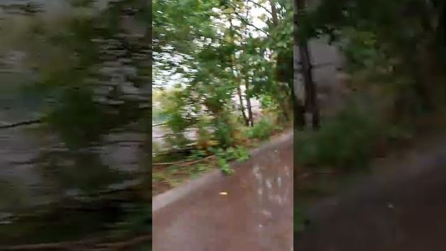 Стрим с другом смотреть онлайн