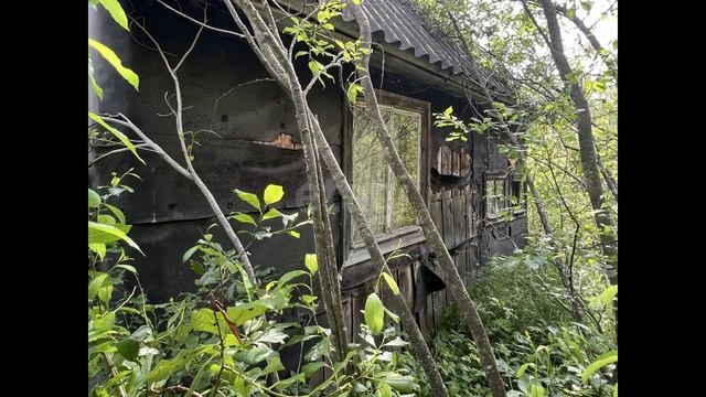 9194990 смотреть онлайн