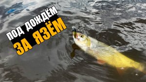 ЯЗИ ИЗ ГРЯЗИ! Ловля язя на кренки и окуня на джиг. Спиннинг 2025