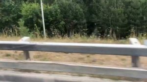 Мопеды сериал | Серия 1221