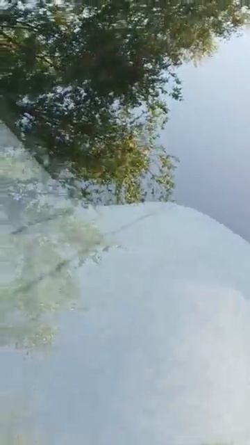 Скол на лобовом стекле