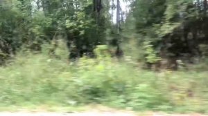 Мопеды сериал | Серия 1199