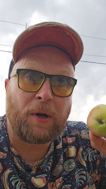 Яблочный дистиллят и метанол Проверим