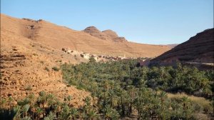 Сахих аль-Бухари, хадисы № 91-100. Фокус темы: ЗНАНИЯ - 4