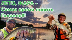 ЛЕТО, ЖАРА - самое время ловить голавля / Поймал-отпусти / Ловля голавля на воблер / Фишмир /