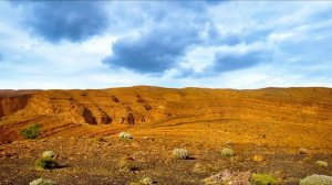 Сахих аль-Бухари, хадисы № 201-210. Фокус темы ОМОВЕНИЕ - 2