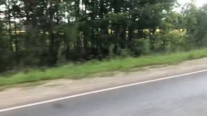 Мопеды сериал | Серия 1296