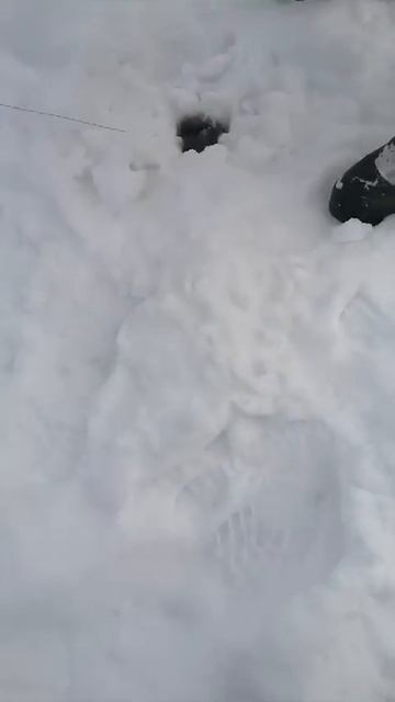 Карельские налимы смотреть онлайн