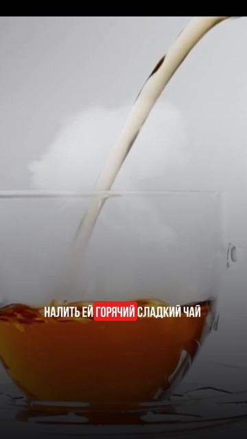 Пациент упал в обморок, что делать? смотреть онлайн