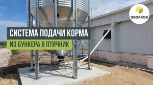 Система подачи корма из бункера в птичник | Шнековая кормораздача SAGRADA