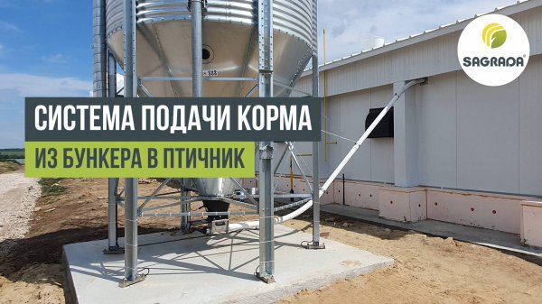 Система подачи корма из бункера в птичник | Шнековая кормораздача SAGRADA