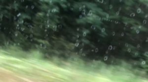 Мопеды сериал | Серия 1224