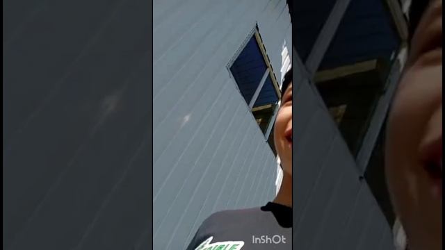 новости кошки котуньи смотреть онлайн
