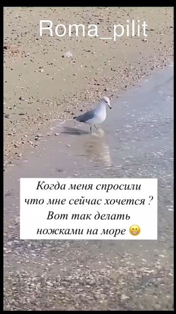 #юмор #море #желание #отдых #наморе смотреть онлайн