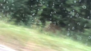 Мопеды сериал | Серия 1312