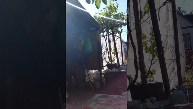 сборник смешных видео 6 часть