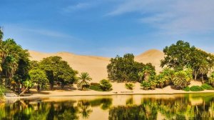 Сахих аль-Бухари, хадисы № 211-220. Фокус темы: ОЧИЩЕНИЕ