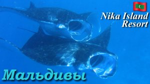 Мальдивские острова. Nika Island.