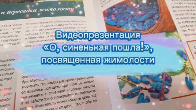 Видеопрезентация "О, синенькая пошла", посвященная жимолости смотреть онлайн