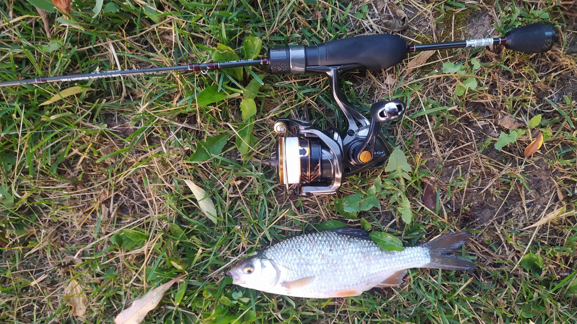 МОРМЫШИНГ. Домашний водоем, утром в середине июля 2025 года