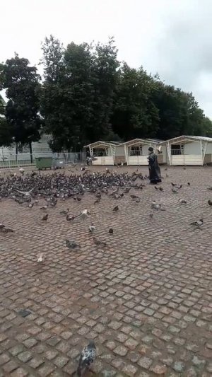 Море голубей Сергиева Лавра
